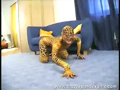 Crazy spandex girl teasing sex in her wild cat costume