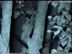 Infrared camera in outdoor sex exposure