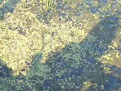 Glass toy in 18yo tight asshole